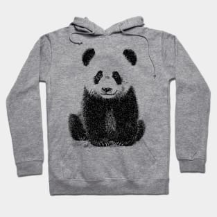 Cute Panda Hoodie